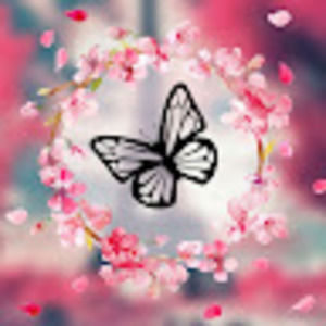 Meet your Posher, Abagail